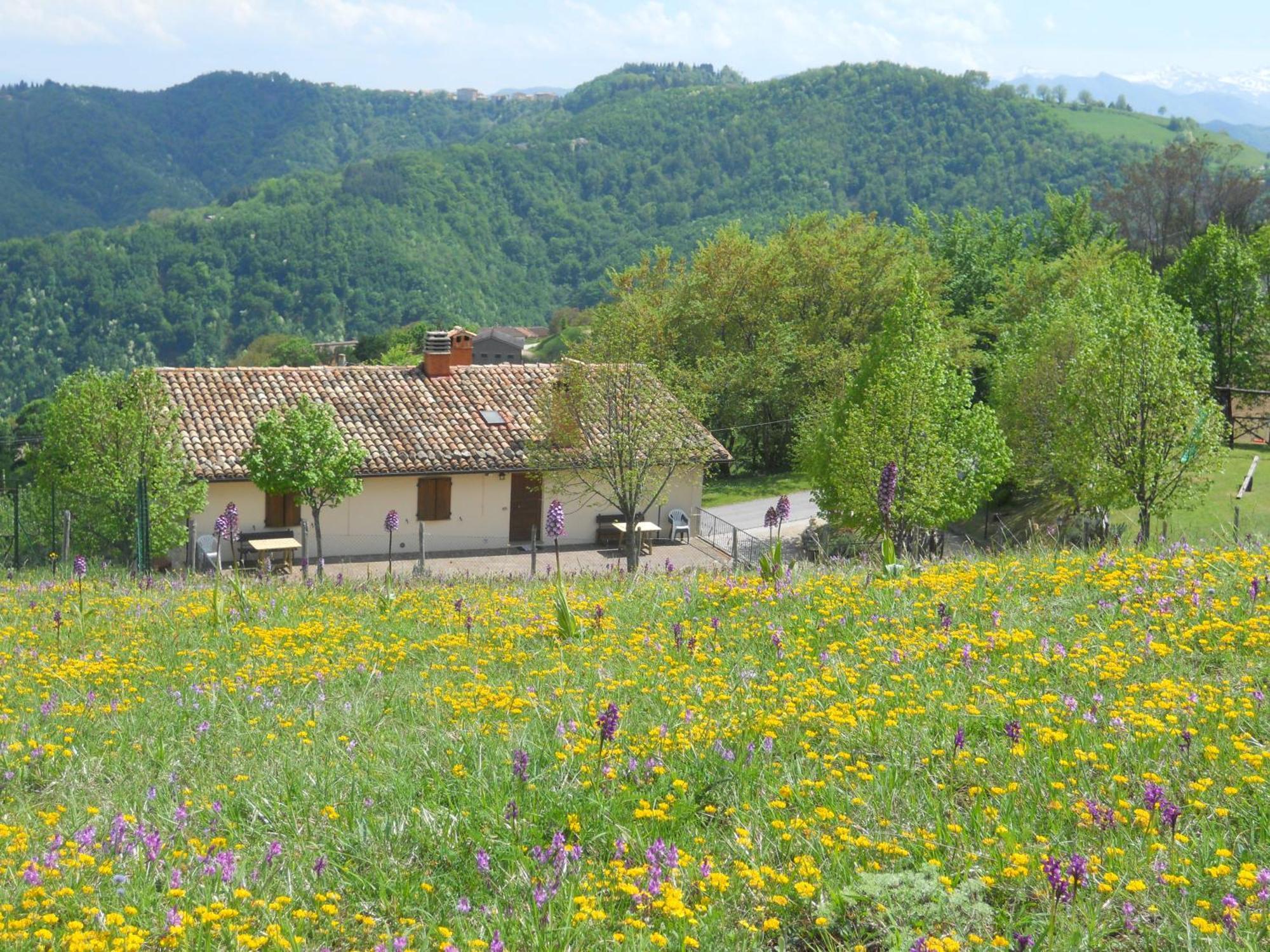 Agriturismo Le Castellare Montemonaco Exterior foto