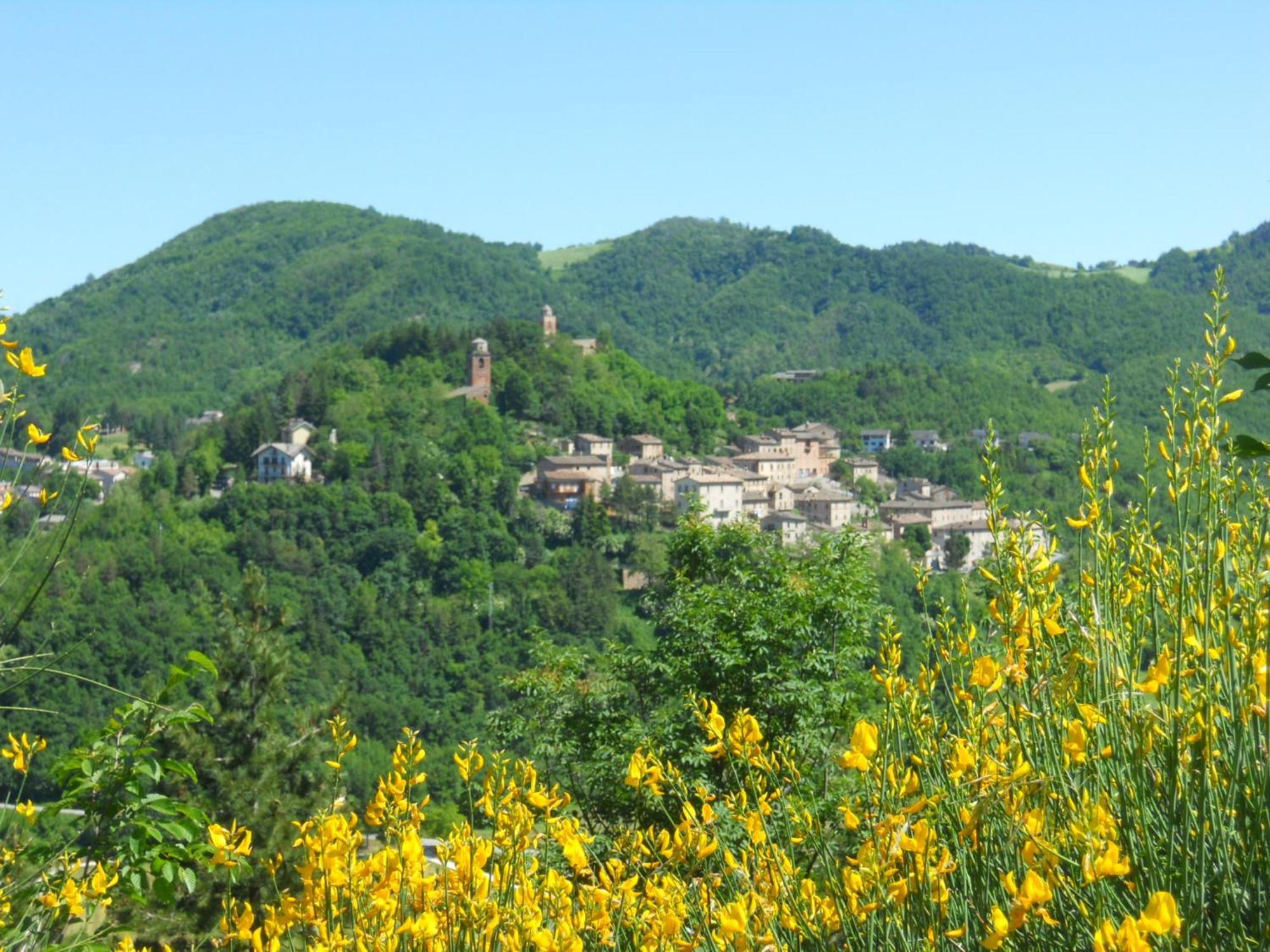 Agriturismo Le Castellare Montemonaco Exterior foto